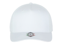 Gorra Mex